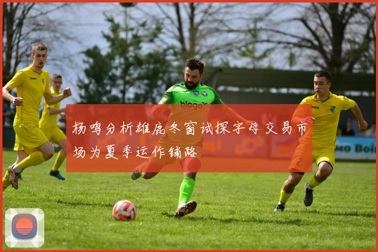 杨鸣分析雄鹿冬窗试探字母交易市场为夏季运作铺路