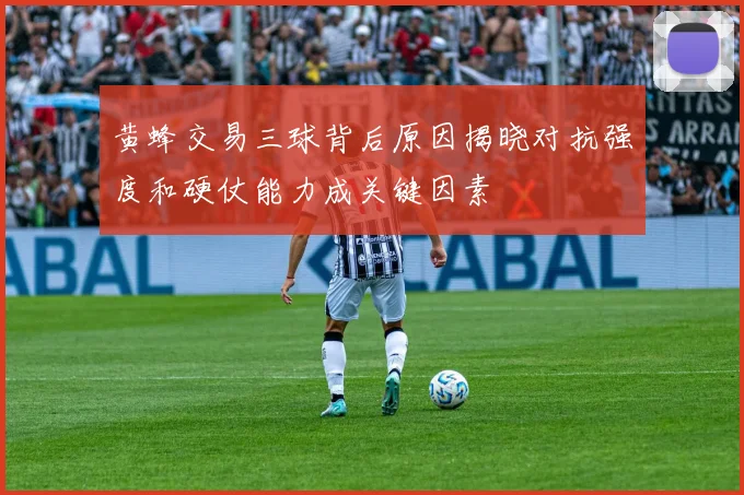 黄蜂交易三球背后原因揭晓对抗强度和硬仗能力成关键因素