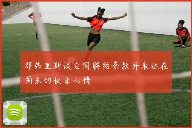 邓弗里斯谈合同解约条款并表达在国米的快乐心情